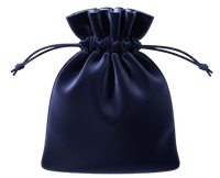 Free Satin Panty Pouch